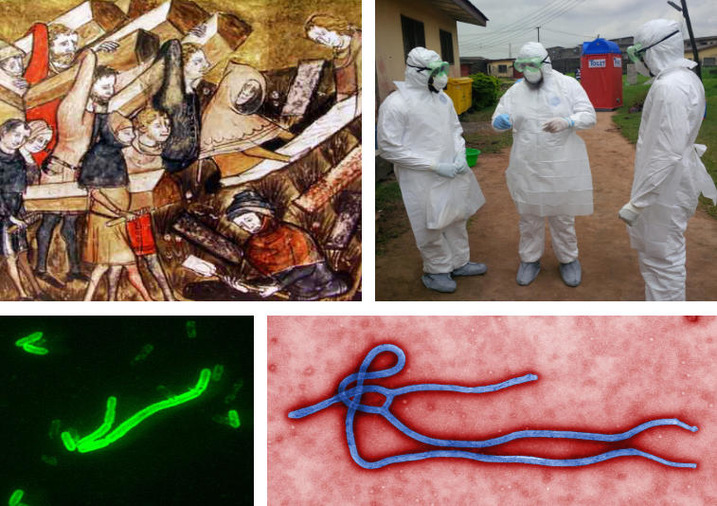 Pest und Ebola - ein kulturgeschichtlicher Vergleich 